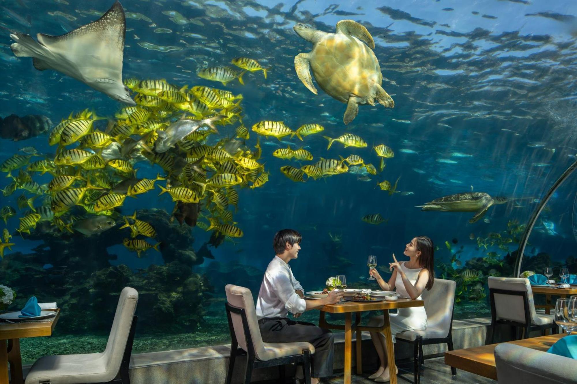 度假村 三亚海棠湾天房洲际度假酒店（网红海洋餐厅）